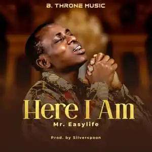 Mr. Easylife – Here I Am