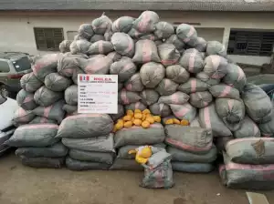 NDLEA Launches Massive Raids In Lagos, Abuja, Kano, Others, Seizes 44,948kg Drugs, Arrests 4 Kingpins