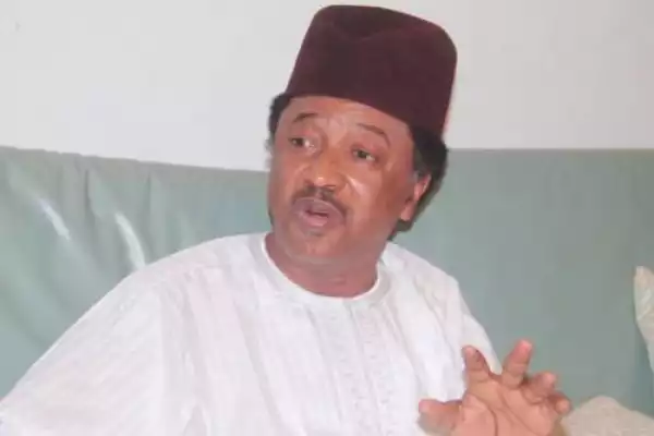 Five Terrorist Groups Now Competing For Blood Of Innocent Nigerians – Shehu Sani