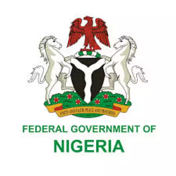 Nigeria Air To Fly Soon — FGNigeria Air To Fly Soon — FG