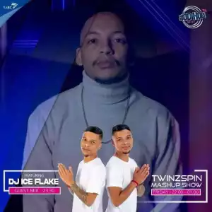 Dj Ice Flake – TwinSpin Mashup Show Mix