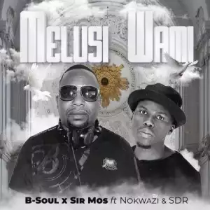 B-Soul & Sir Mos – Melusi Wami (feat. Nokwazi & SDR) [Instrumental]