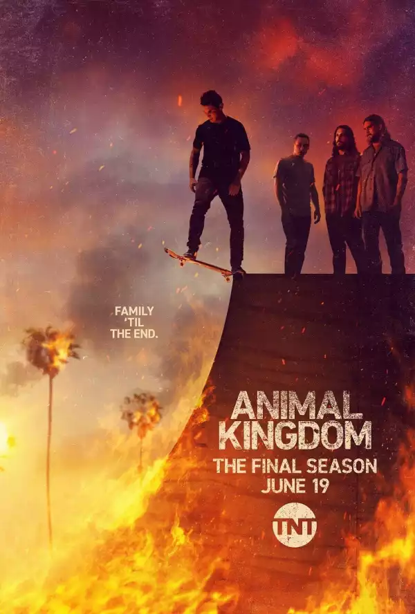 Animal Kingdom US S06E10