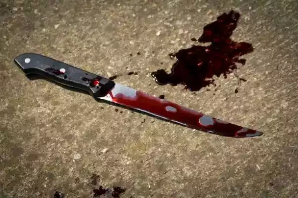Peacemaker stabbed to death in Kogi