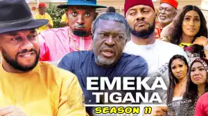 Emeka Tigana Season 11