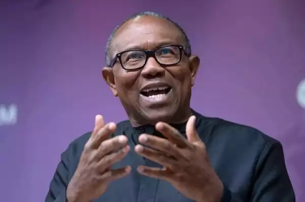Professors Now Beg for SA Jobs – Peter Obi Cries Out Over Poor Earnings by Lecturers