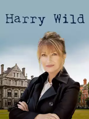 Harry Wild S02E06