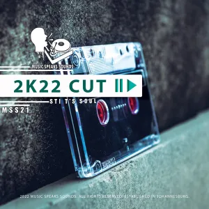 STI T’s Soul – Can Heaven Wait (2K22 Cut)