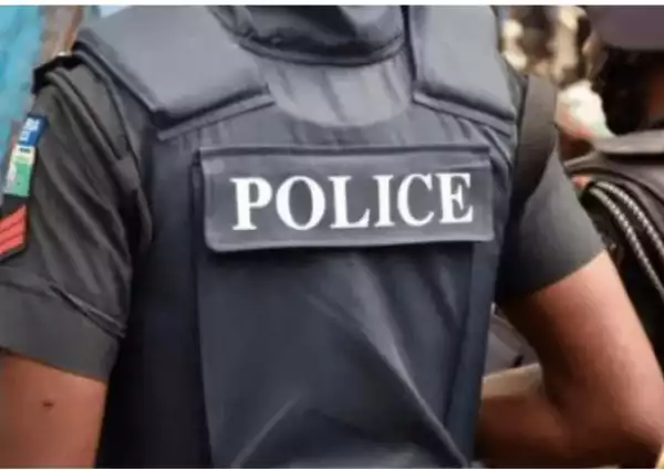 Surrender illegal firearms, police tell Osun residents