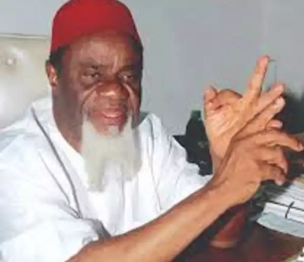 Nigerians must vote for southern candidate – Ezeife