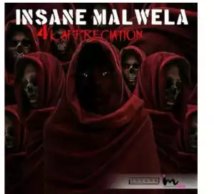 Insane Malwela – 4k Appreciation Mix