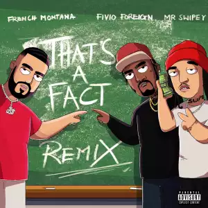 French Montana Ft. Fivio Foreign & Mr. Swiepy – That’s a Fact (Remix)