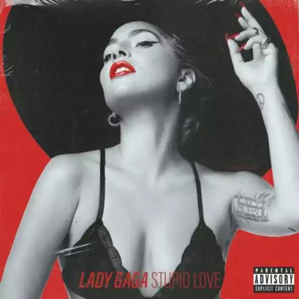 Lady Gaga – Stupid Love