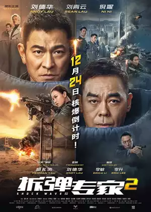 Shock Wave 2 (2020) (Chinese)