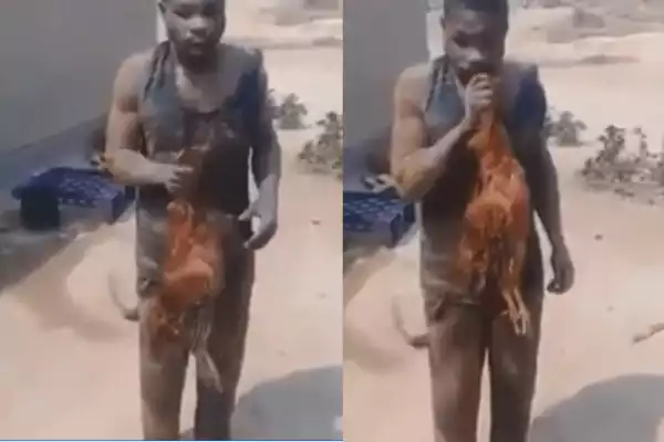 Moment A Cock Thief Was Forced To Chew Raw Cock By Angry Mob (VIDEO)