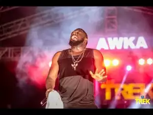 2Face, Yemi Alade, M.I & More Thrill Fans At Awka for #StarMusicTrek