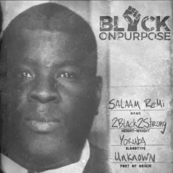 Salaam Remi - Black On Purpose Outro
