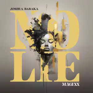 Joshua Baraka ft Magixx – No Lie