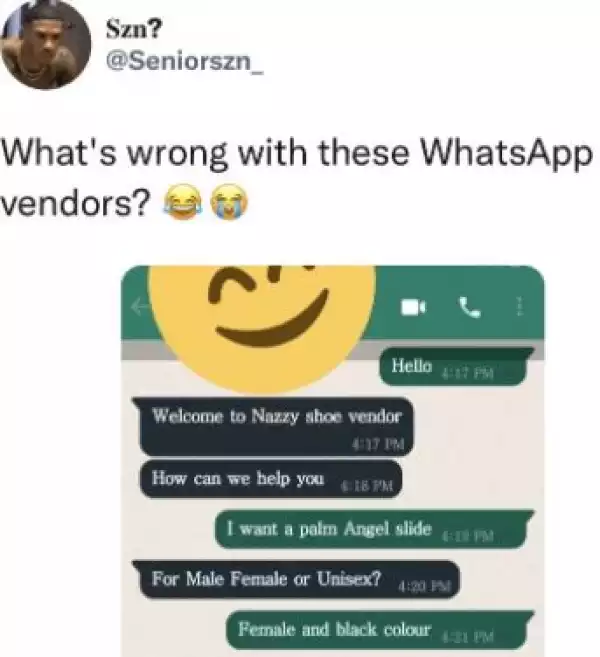 Nigerian Lady Fires Back At A Vendor Who Insulted Her On WhatsApp