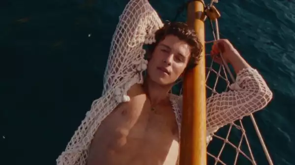 Shawn Mendes, Tainy - Summer Of Love (Video)