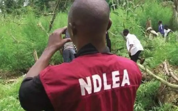 Military Officer Plants Drug In Brother’s House, Reports To NDLEA