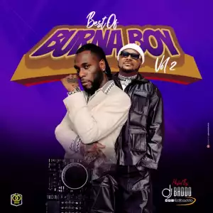 DJ Baddo – Best Of Burna Boy Vol. 2