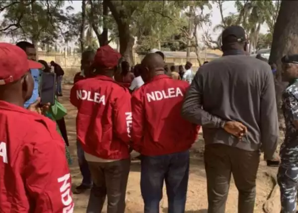 We Seized N57m Worth Of Illicit Drugs Under Eight Months In Abuja - NDLEA
