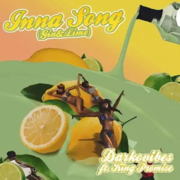 Darkovibes ft. King Promise – Inna Song (Gin & Lime)