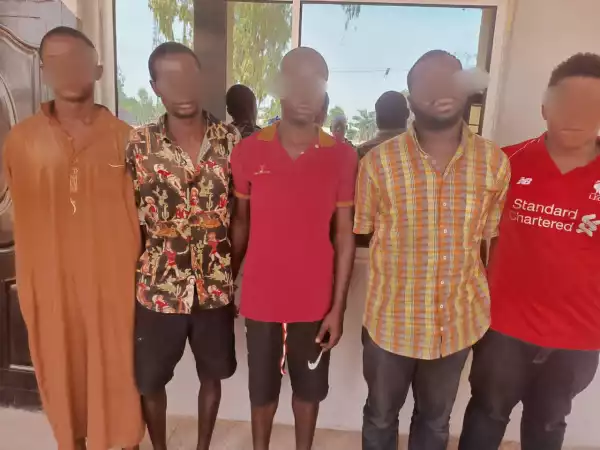 Police arrest illegally-migrated Cameroonians who attempted to kidnap businessman in Adamawa