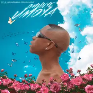 Skmatobela Mshaywaso – Omunye Umoya (EP)