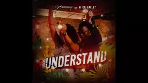 Stonebwoy – Understand Ft. Alicai Harley (Music Video)