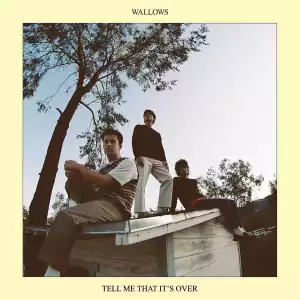 Wallows - Hard to Believe