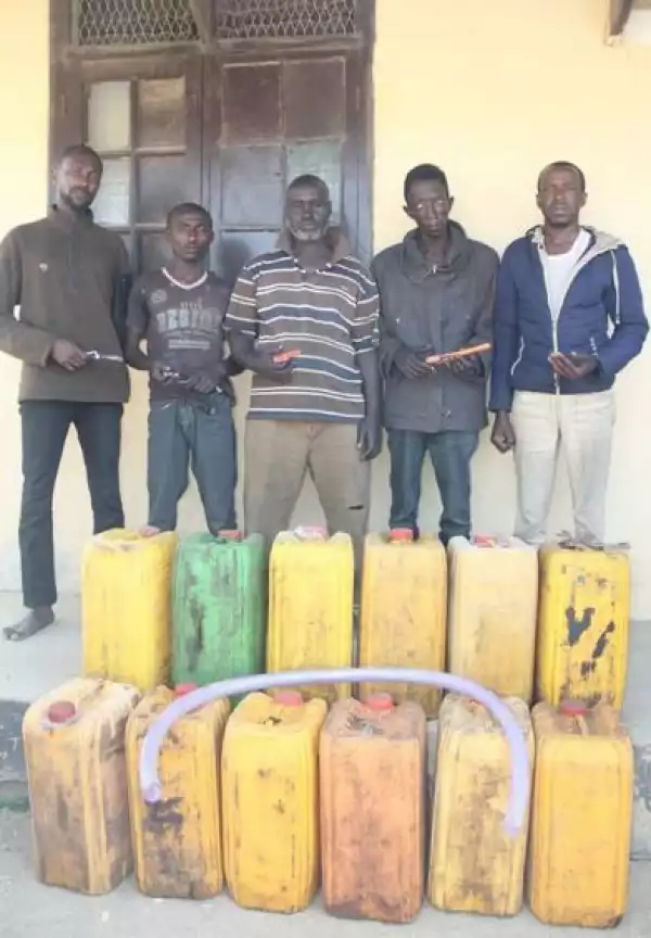 Police Arrest Two Ex-convicts And Others For Vandalizing Eleven Electricity Transformers In Bauchi
