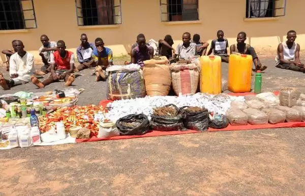 Police Arrest 52 Suspects, Recover Arms, Ammunition And Illicit Drugs Worth N3m In Adamawa (Photos)