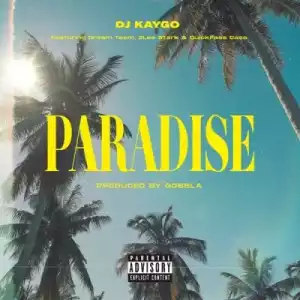 DJ Kaygo ft DreamTeam, 2Lee Stark & Quickfass Cass – Paradise