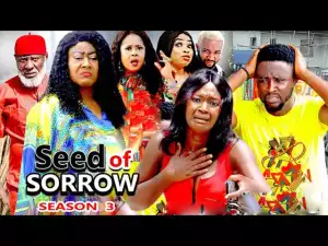 Seed Of Sorrow Season 3