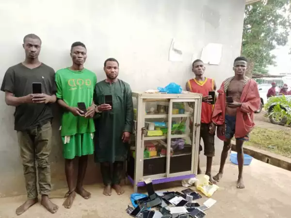 Photo Of Suspected Cultists Who Were Nabbed For Stealing Phones, Accessories In Ogun