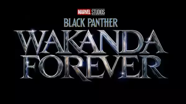 Black Panther: Wakanda Forever Production Shuts Down Due to Injury