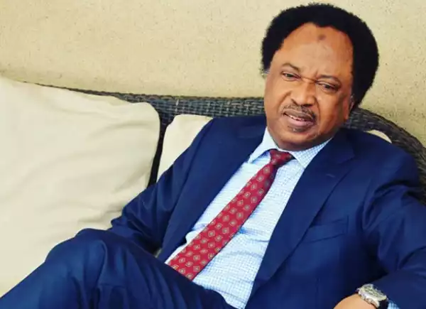 “Nowhere In The World Are Human Lives So Cheap” – Shehu Sani Reacts As Bandits Burn 42 Persons To Death In Sokoto
