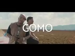 Mr Brown & Mvzzle – Gomo ft Makhadzi (Video)