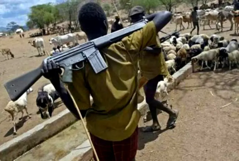 Father, son shot dead as herdsmen invade Delta community
