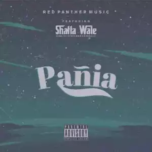 Shatta Wale – Pania