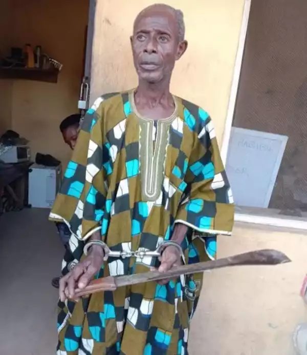 OMG!! 78-Year-Old Man Arrested For Hacking 94-Year-Old Brother To Death Over Sold Land
