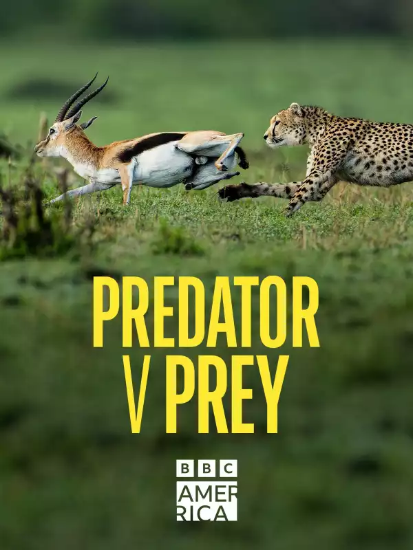 Predator v Prey (TV series)