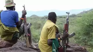 Bandits Kill One, Kidnap Eight in Niger, Demand N17m Ransom