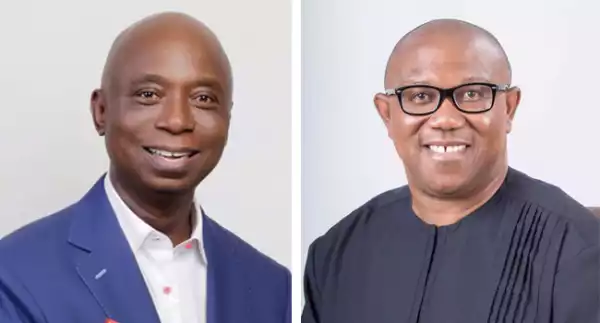 Ned Nwoko: Peter Obi Will Be Better Suited As Minister Of Economy