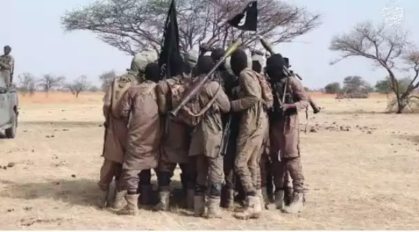 ISWAP Kills 8 Boko Haram Members During Rival Clash In Borno