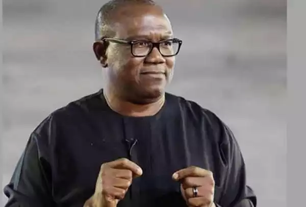 I Need Only Four years To Transform Nigeria — Peter Obi