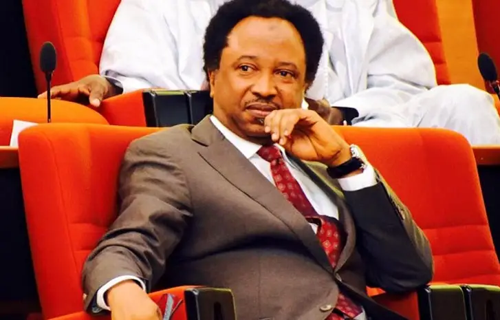 Elections: Why Obi can’t part with N2bn – Shehu Sani
