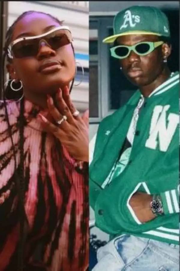 Na Your Aunty Be That - Social Media Users React As Rema Hints At Dating Tems